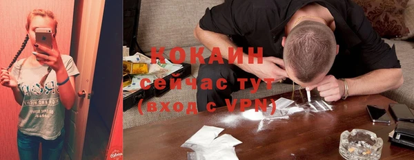 трава Верея