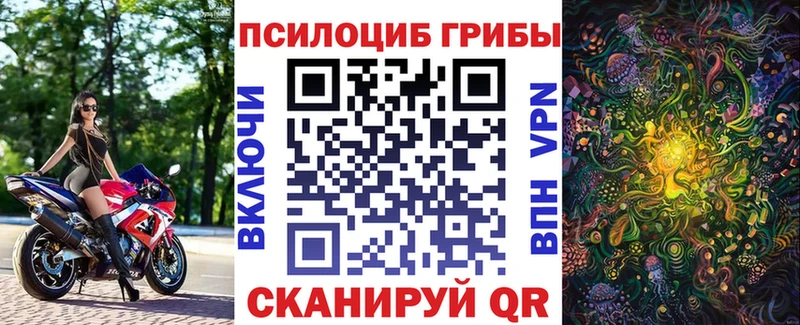 блэк спрут зеркало  хочу наркоту  Задонск  Галлюциногенные грибы прущие грибы 